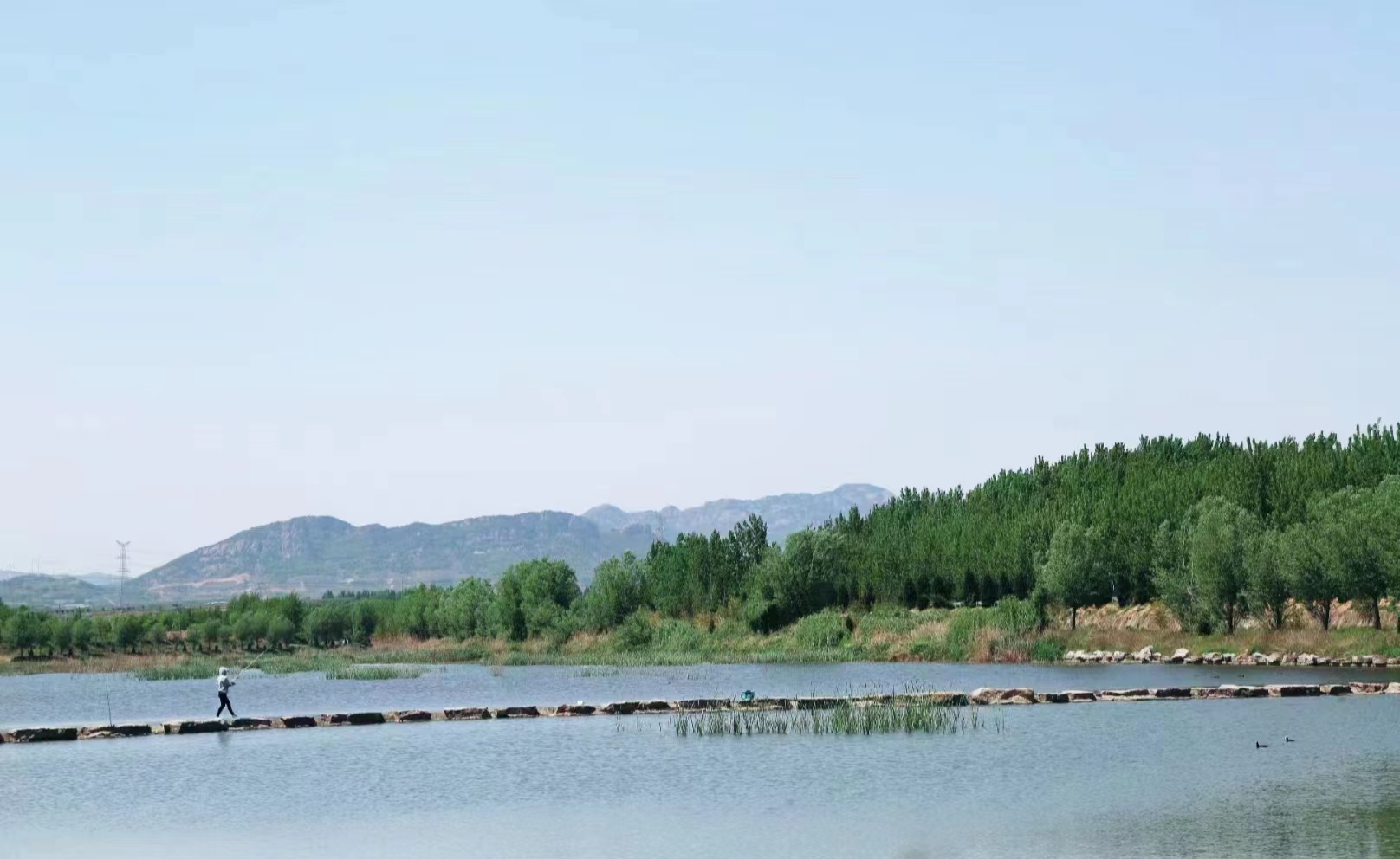 1652839052356711.jpg 李博文1.jpg